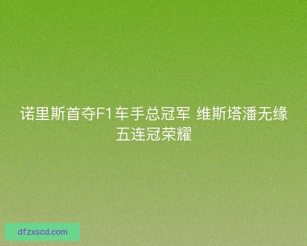 诺里斯首夺F1车手总冠军 维斯塔潘无缘五连冠荣耀 诺里斯首夺F1车手总冠军 维斯塔潘无缘五连冠荣耀